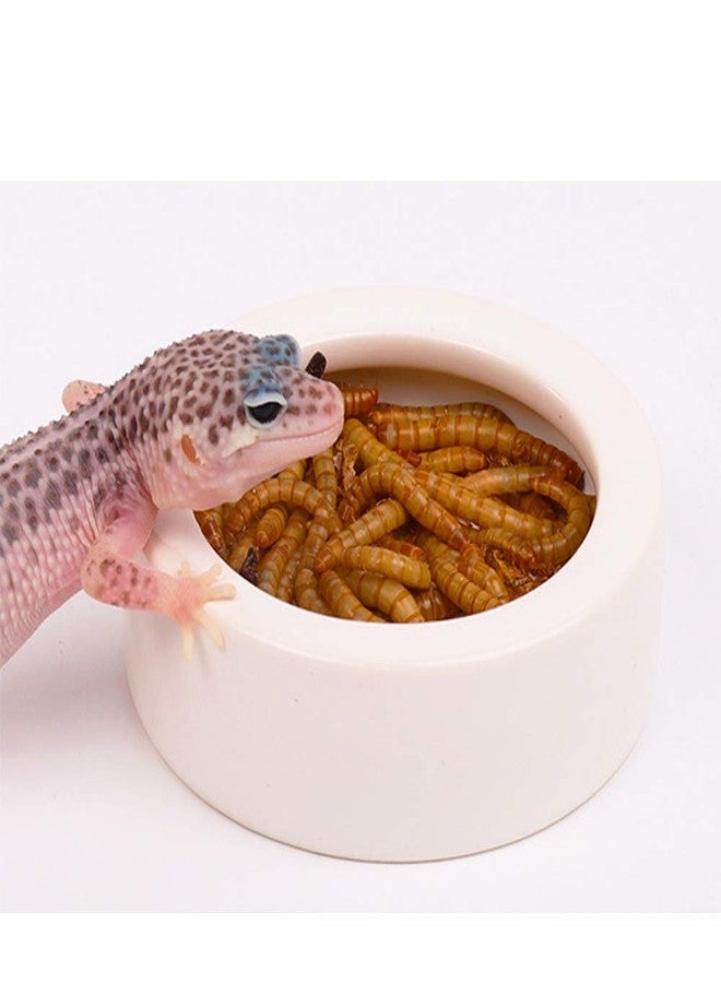 Abustle pig Reptile Food Water Bowl, 2 pcs Ceramics Worm Dish ,Anti-Escape Reptile Water Feeder ,Mealworm Bowl for Lizard Gecko Bearded Dragon, (S,M,L) (Large) - Image 5
